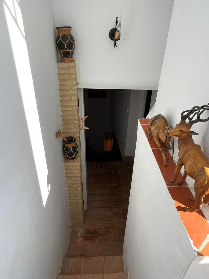 Esencia De Arcos Apartment อาร์กอส เดลา ฟรอนเตรา ภายนอก รูปภาพ